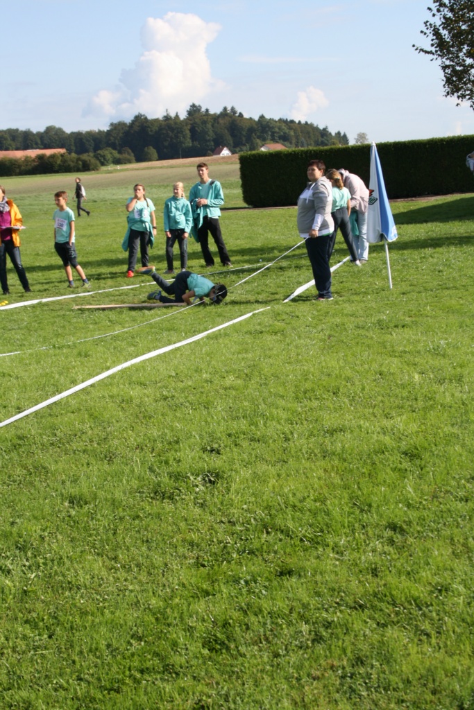 Bild 1 (61)